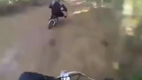 Dog sounds like a dirt bike