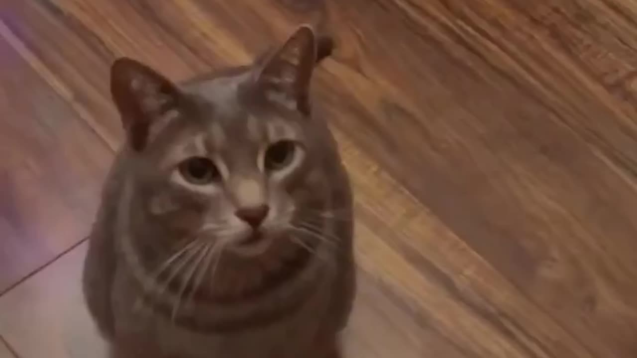 Follow me for more video 😂