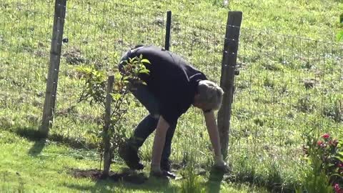 Haine Anti-Flic_ Ancien Policier Français terrorisé par Lesbiennes Pollution Visuelle Homosexuelle