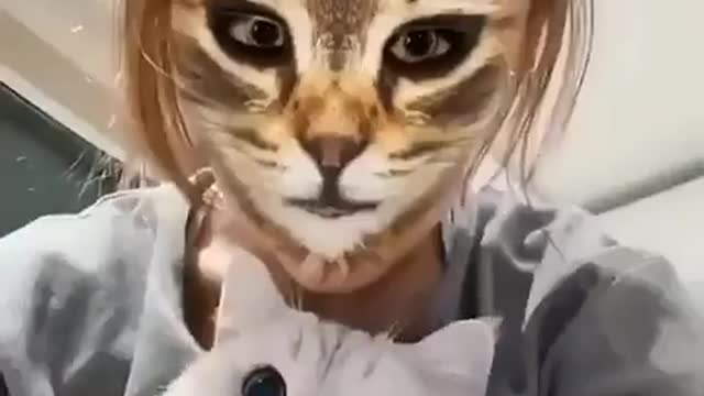 App of Cats