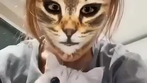 App of Cats