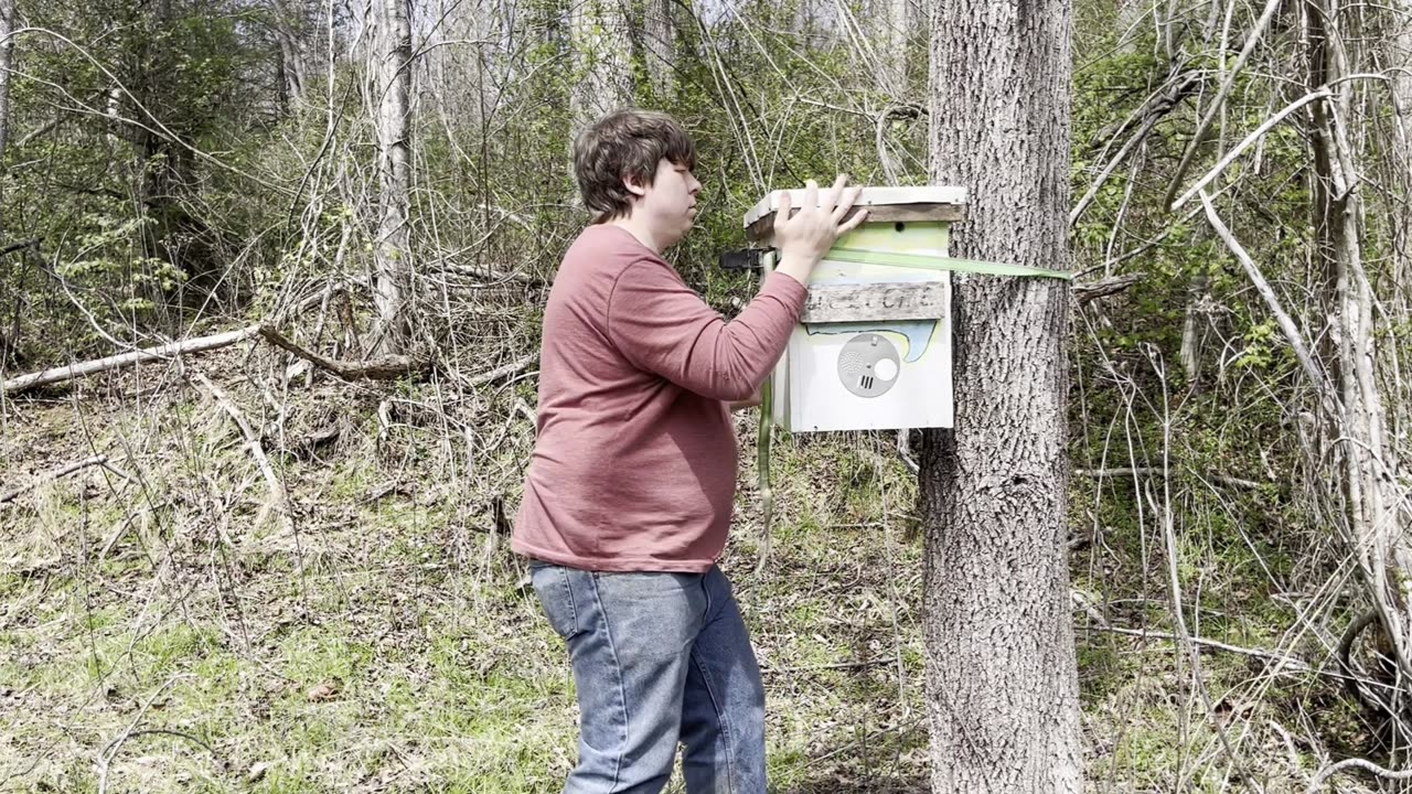 Let's Help Wes Find the Right Location for Another Swarm Hive!