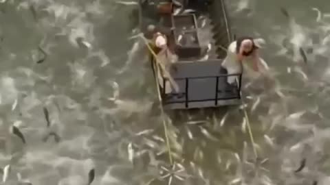 Amazing Fishing