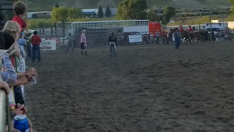 Rodeo show