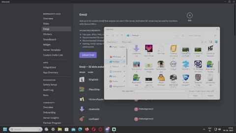 Discord Bug