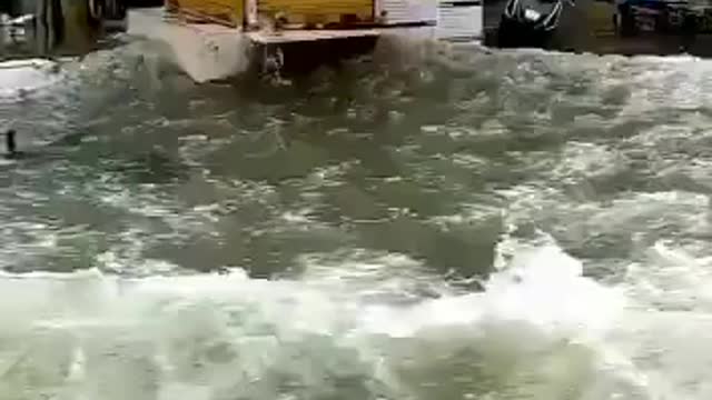 Omg what's the difference