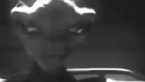 🤣🤣🤣 I Can't Believe People Still Buy This Crap