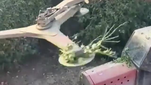 Destroyer