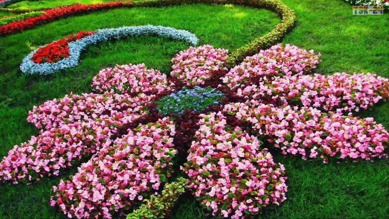 garden of various view