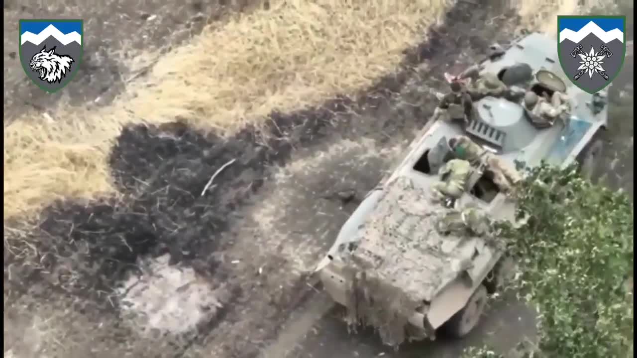 +18 Disturbing Video showing dead and wounded