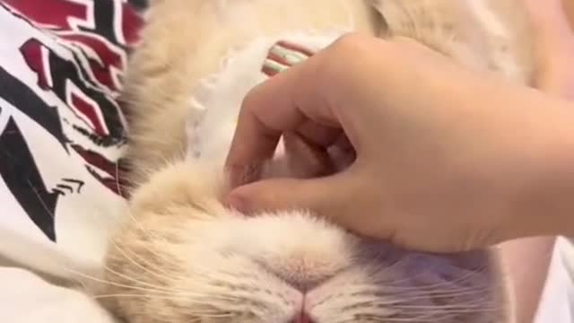It's really nice to masturbate