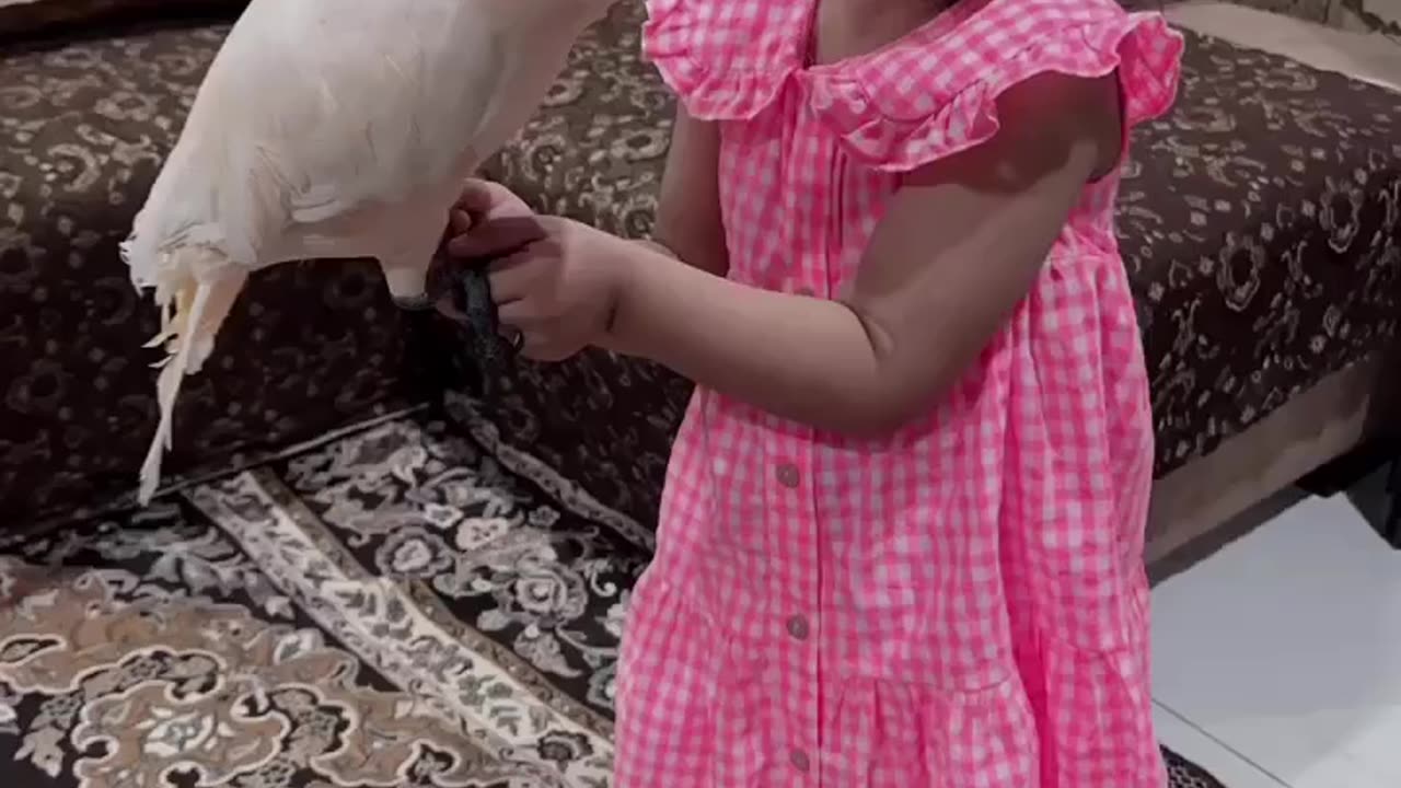 Princess with her big birdy