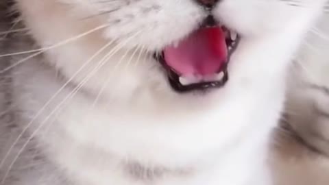 A little naughty