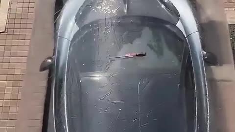 Bubble To Protect Car