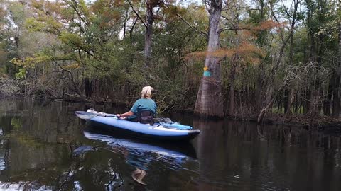 myrtle beach kayaking on Waccamaw river