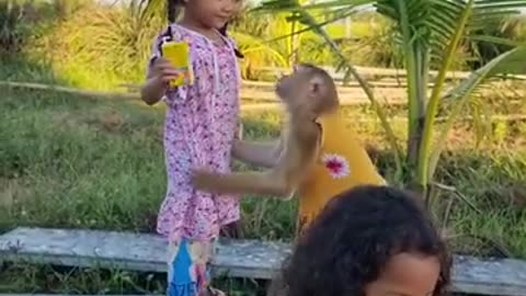 Little girl shares milk with her pet monkeys