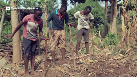 Masaka Kids Africana Dancing Joy Of Togetherness ft 3wash_hip_hop & Karina Palmira