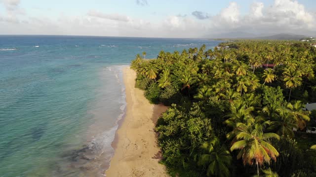 Drone Footage of A Tropical Beach