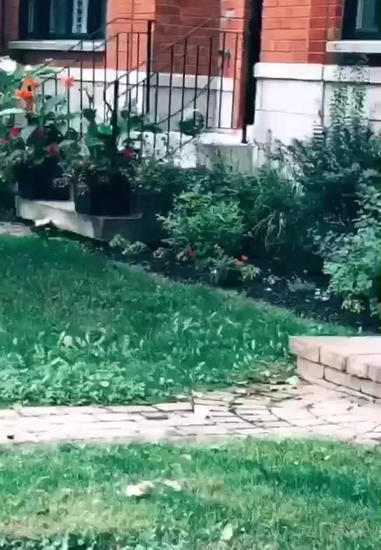 Bois-Franc Residents Woke Up To Find Mysterious Watermelon On Their Doorsteps