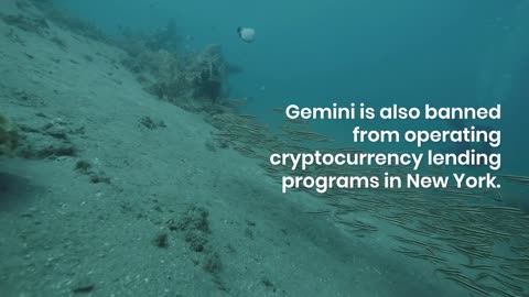 Crypto Exchange Gemini to Pay $50 Million Over Fraud Claim