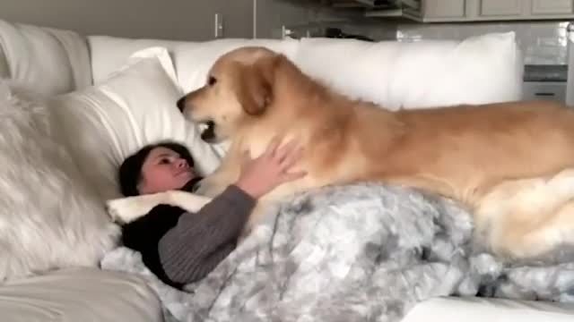 Cute doggy wakes mummy up for huggies!