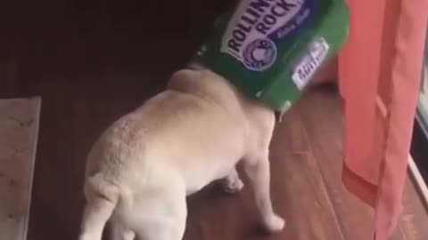 Silly Pug