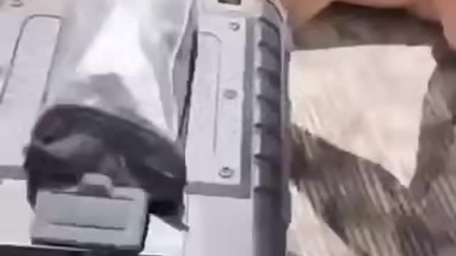 Wait for it