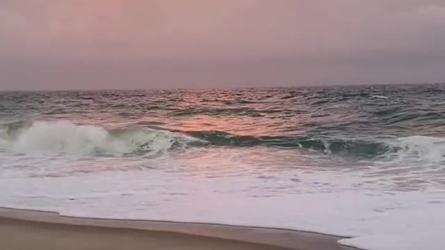to close out shark week, Nantucket beaches keep shutting down after increased shark sightings