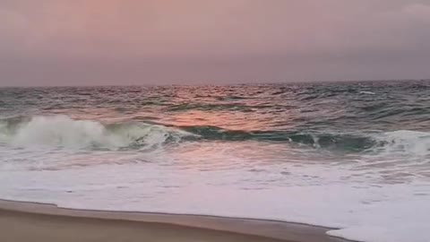 to close out shark week, Nantucket beaches keep shutting down after increased shark sightings