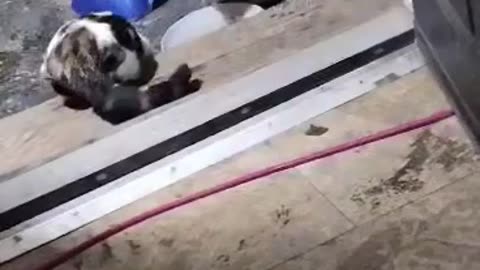 best friends