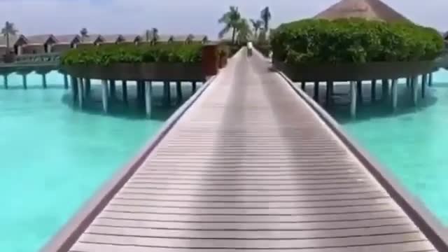 bike ride