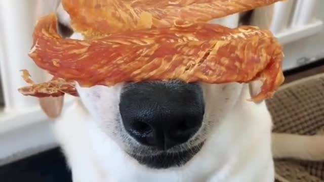 Hahaha, it can't be eaten