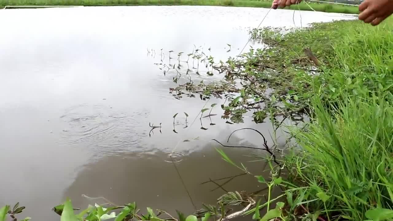 Girl Make Fish Trap Using PFC - Fan Guard - Basket To Catch A Lot of Fish