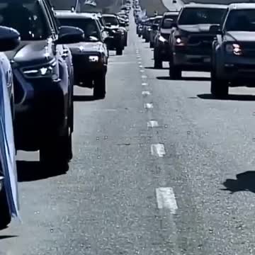 הפגנות חקלאים הודים גרמנים וארגנטינאים הצטרפו לחקלאים ההולנדים ואחרים במחאה עולמית