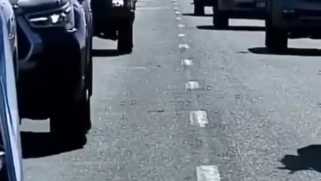 הפגנות חקלאים הודים גרמנים וארגנטינאים הצטרפו לחקלאים ההולנדים ואחרים במחאה עולמית