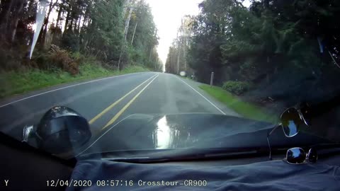 Deer Stops in Time