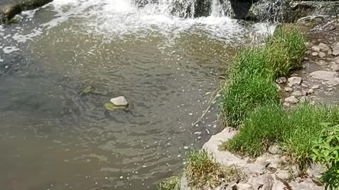 Waterfall waterloo