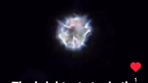The Dog Star