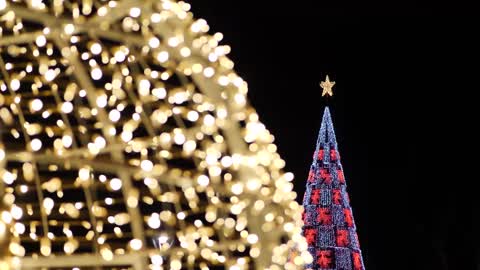 Christmas tree and Christmas lights_