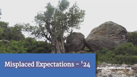 Misplaced Expectations -2024