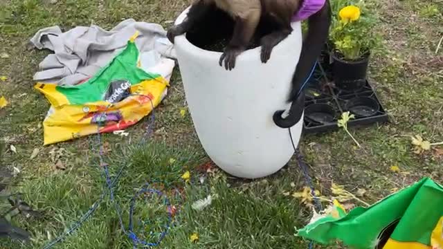 Gaitlyn Rae Video
