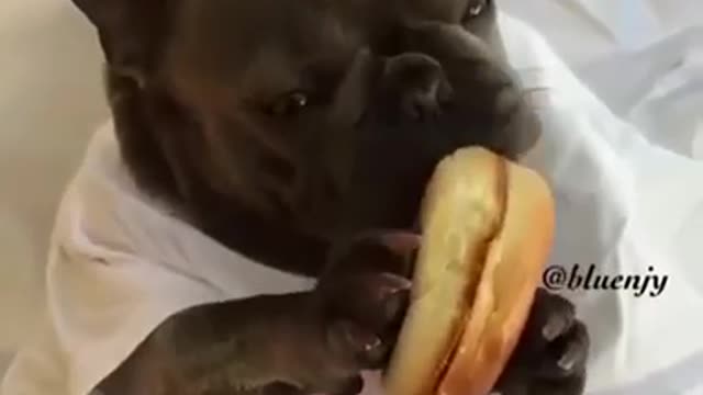 I don't think this burger tastes good