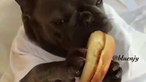 I don't think this burger tastes good