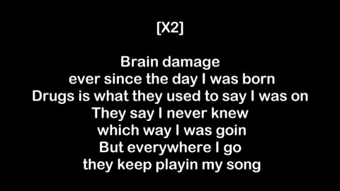 Eminem Brain Damage