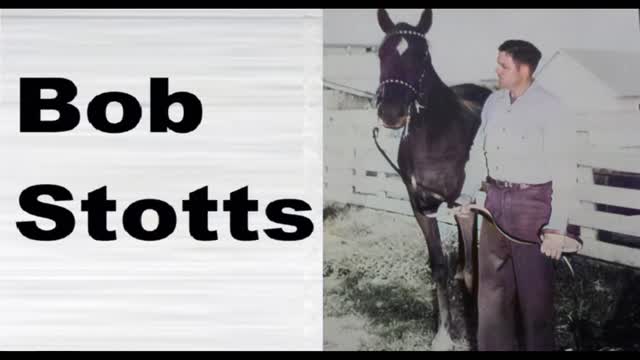 BOB STOTTS - FENCES TO MEND