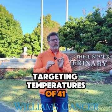 Hyperthermia: Heating Up the Fight Against Tumors🔥