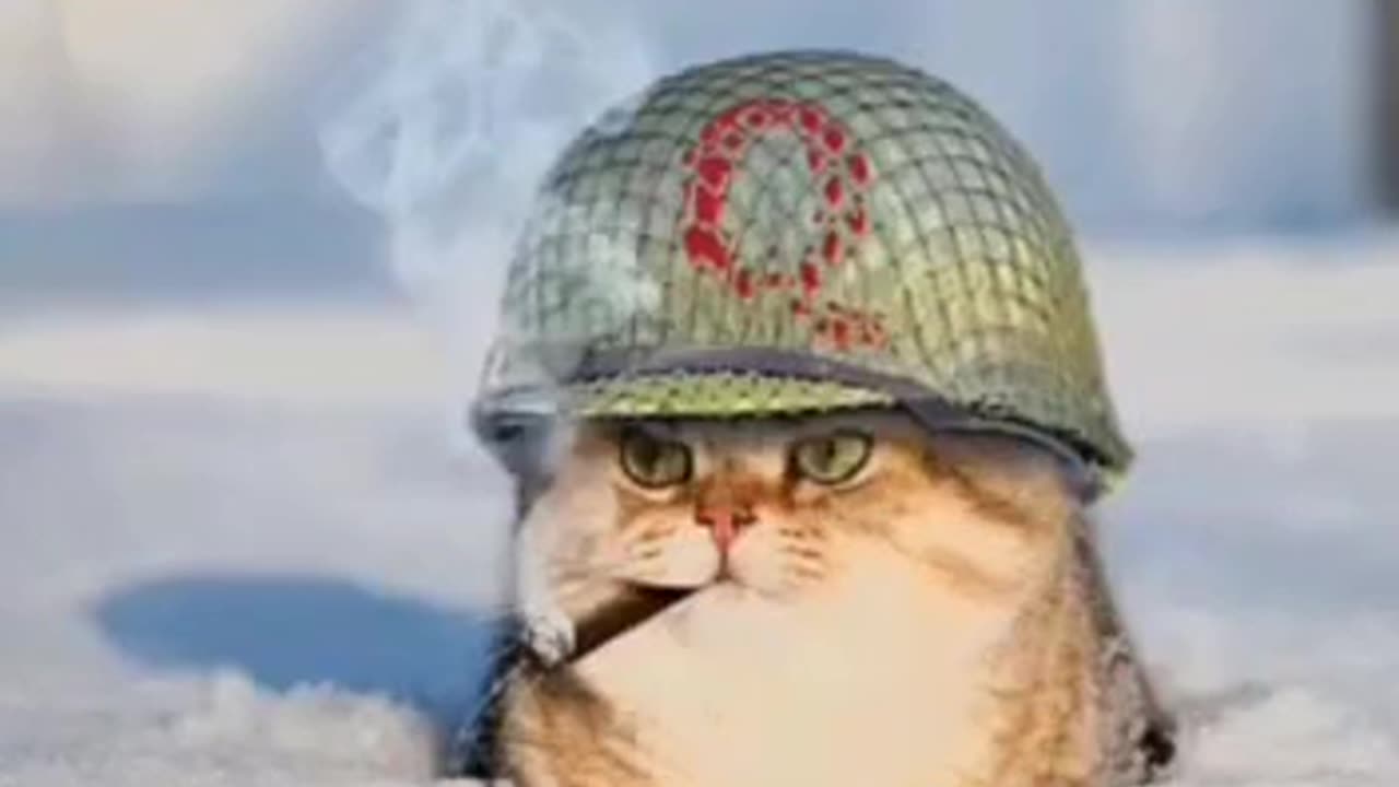 LFG frens! 🐸🔥🔥🔥💨👻