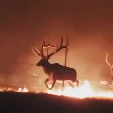Half of Wyoming is BURNING right now!