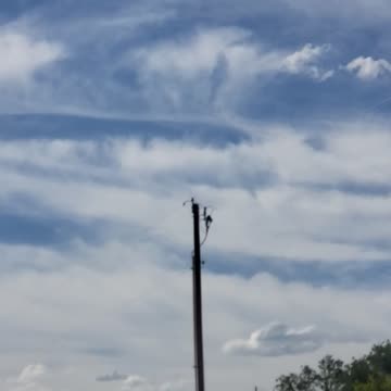 Almost looks like something