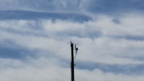 Almost looks like something